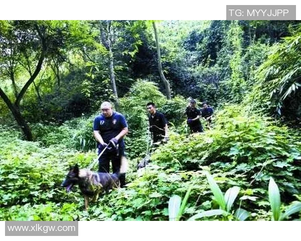 重庆足球队的崛起与挑战分析：力量与未来的深度探讨