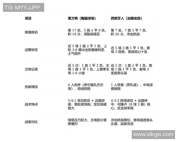 全球足球明星及其擅长位置解析与球场表现分析