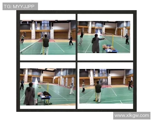 南京羽毛球队在城市联赛中的比赛经验与表现分析